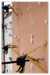 ren 2.PNG